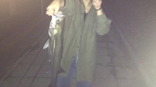 kuroki vs seabass.JPG